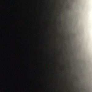 Meet your Posher, Maggie